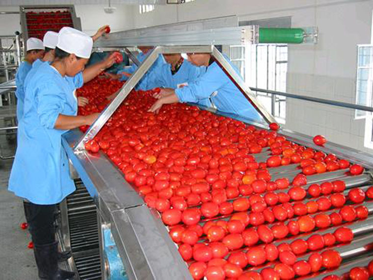 Производство томатной пасты как бизнес