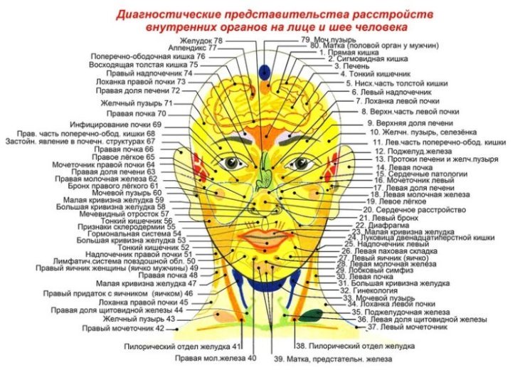 Акупунктурные точки на лице, шее и голове человека